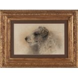 A 19th/20th Century Pastel on Paper, PROFILE OF A DOG, Signed E. Hartey and dated '35, 25 by 41cm.