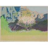 Alice Goldin (1922-2016) SPRING BELOW THE MOUNTAIN, colour silkscreen print on paper, signed,