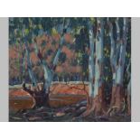 SYDNEY CARTER (1874 - 1945), TREES. Oil on board. Signed. 30 by 35cm.