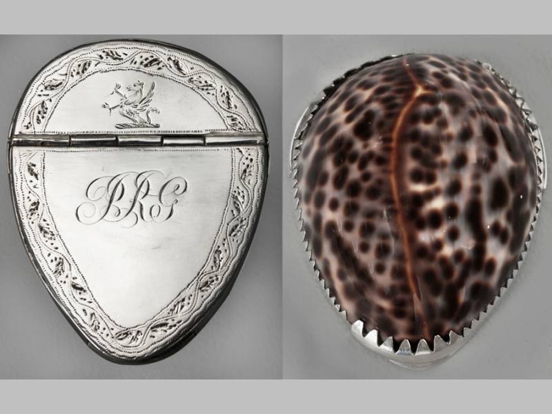 A SILVER MOUNTED COWRIE SHELL TRINKET BOX, pin-prick engraved with foliage, griffon and initails P.