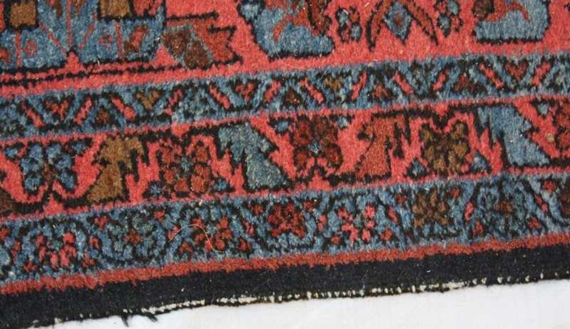 Orientgalerie Baumwolle/Wolle, handgeknüpft, großes Heratimuster, rosé, blau, dunkelblau, Ränder - Bild 3 aus 4