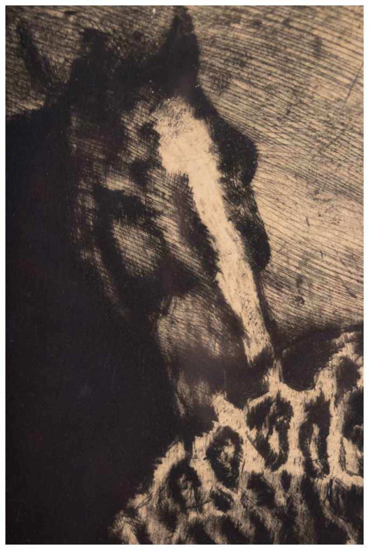Philipp FRANCK (1860-1944) - "Kampf mit Leopard" - Grafi-Multiple, Radierung, [...] - Image 7 of 8
