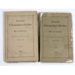 Deutsche Kolonien 1888 *Deutsche Colonialgeschichte* von Max von Koschitzky. Mit 11 in den Text