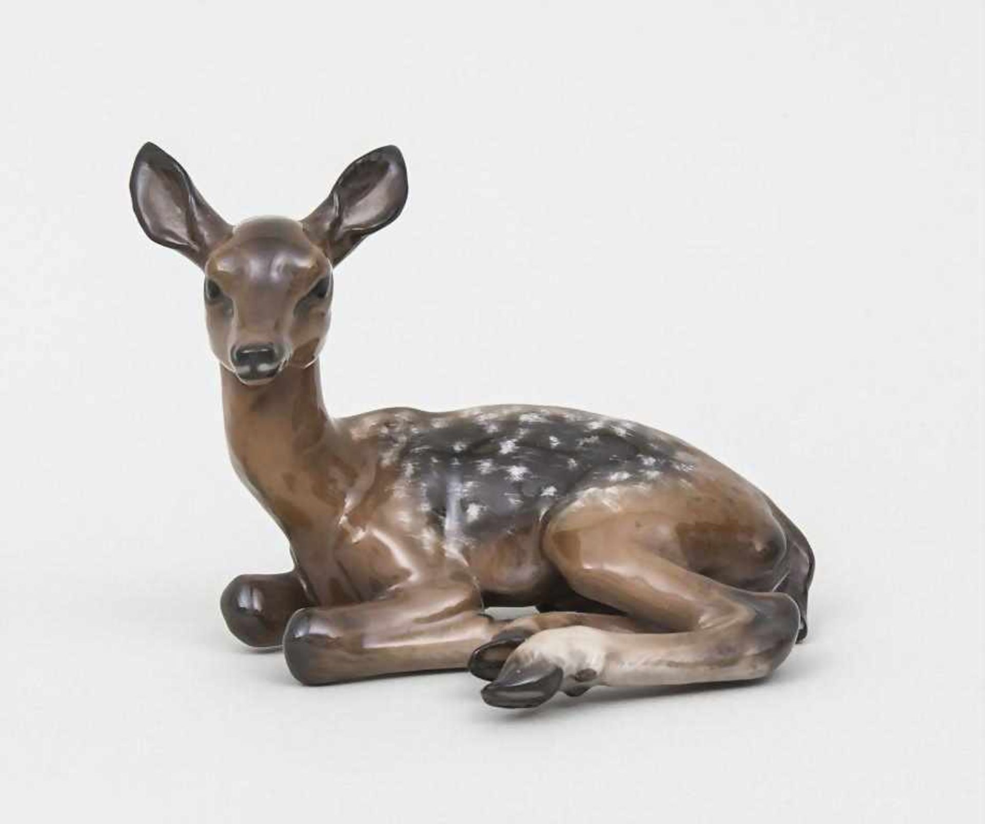 Liegendes Rehkitz / A Lying Fawn, Fritz Heidenreich, Rosenthal, Selb, um 1930 naturalistische