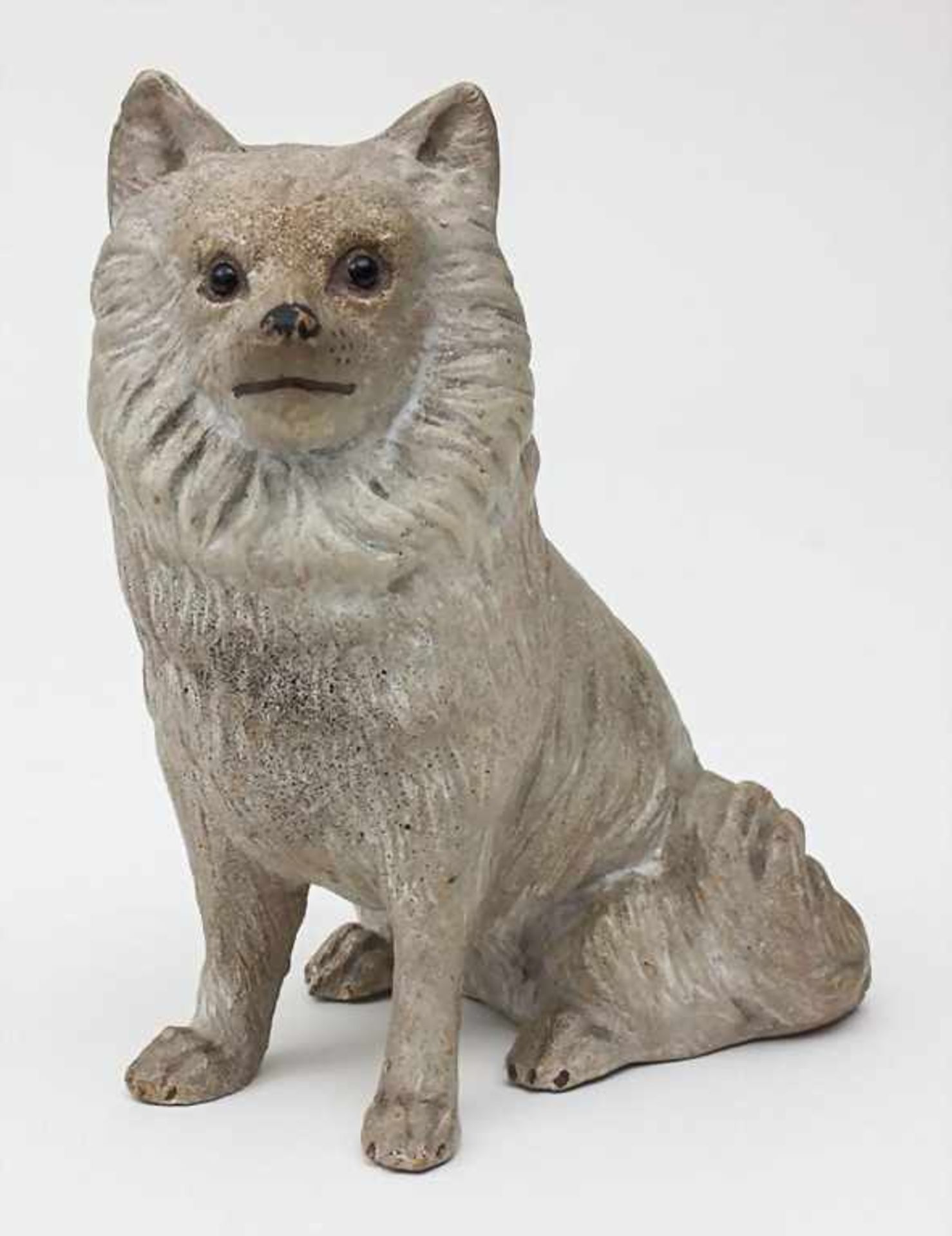 Aufmerksamer Spitz / An Attentive Spitz, wohl deutsch, datiert 1895 Material: heller Ton, farbig