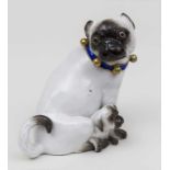 Große sitzende Mops-Dame mit Schellenhalsband und Welpen / A Sitting Female Pug Dog with Puppy,