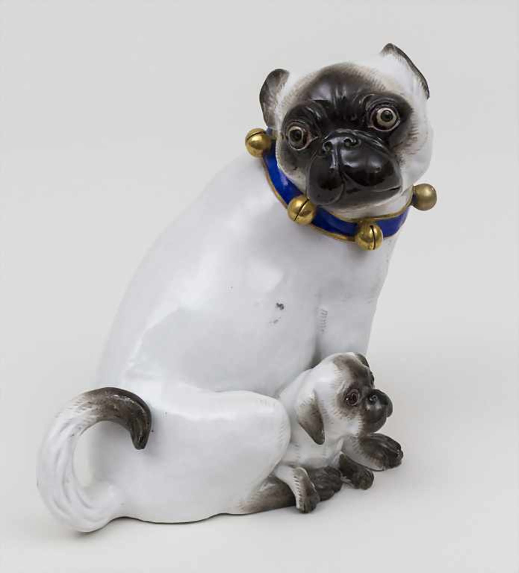 Große sitzende Mops-Dame mit Schellenhalsband und Welpen / A Sitting Female Pug Dog with Puppy,