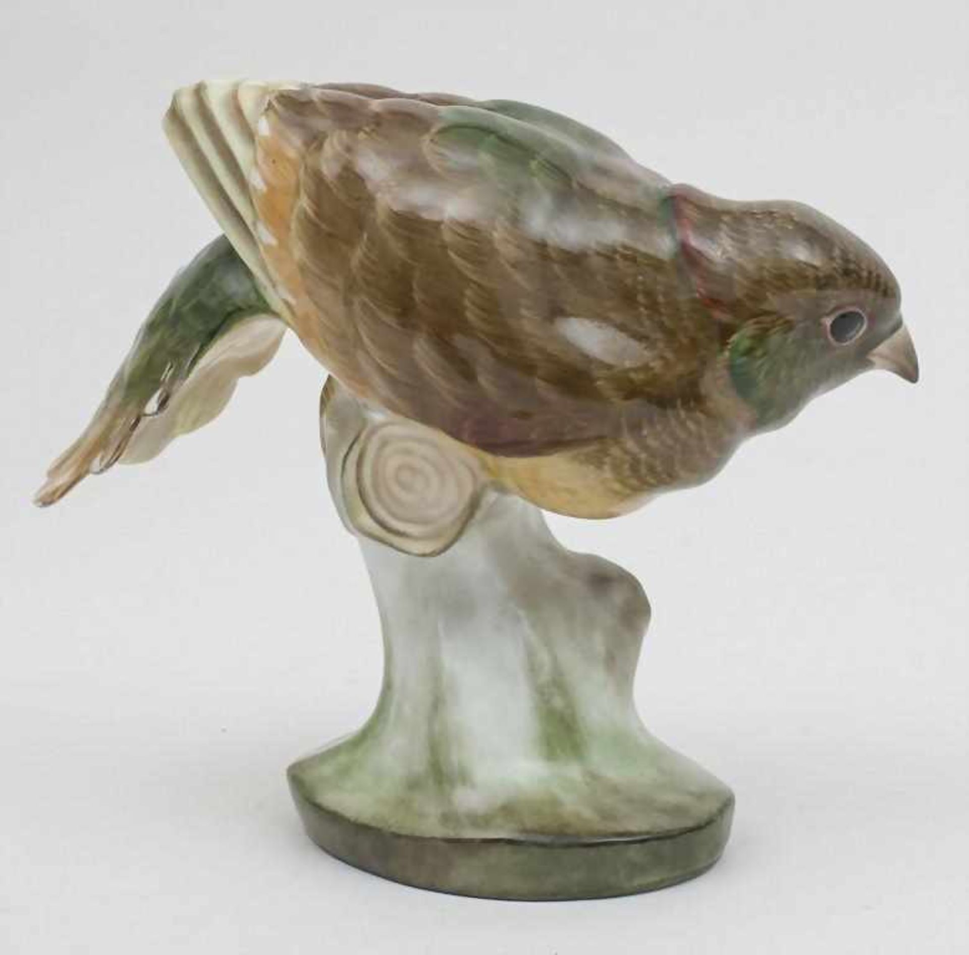 Vogelplastik / A Bird, Herend, Mitte 20. Jh. ovaler Sockel mit feiner Darstellung eines auf einem - Bild 2 aus 3