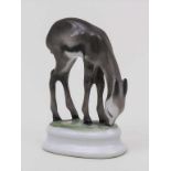 Junge Antilope / A Young Antilope, Kunstabteilung, Rosenthal, Selb, um 1940 Material: Porzellan,