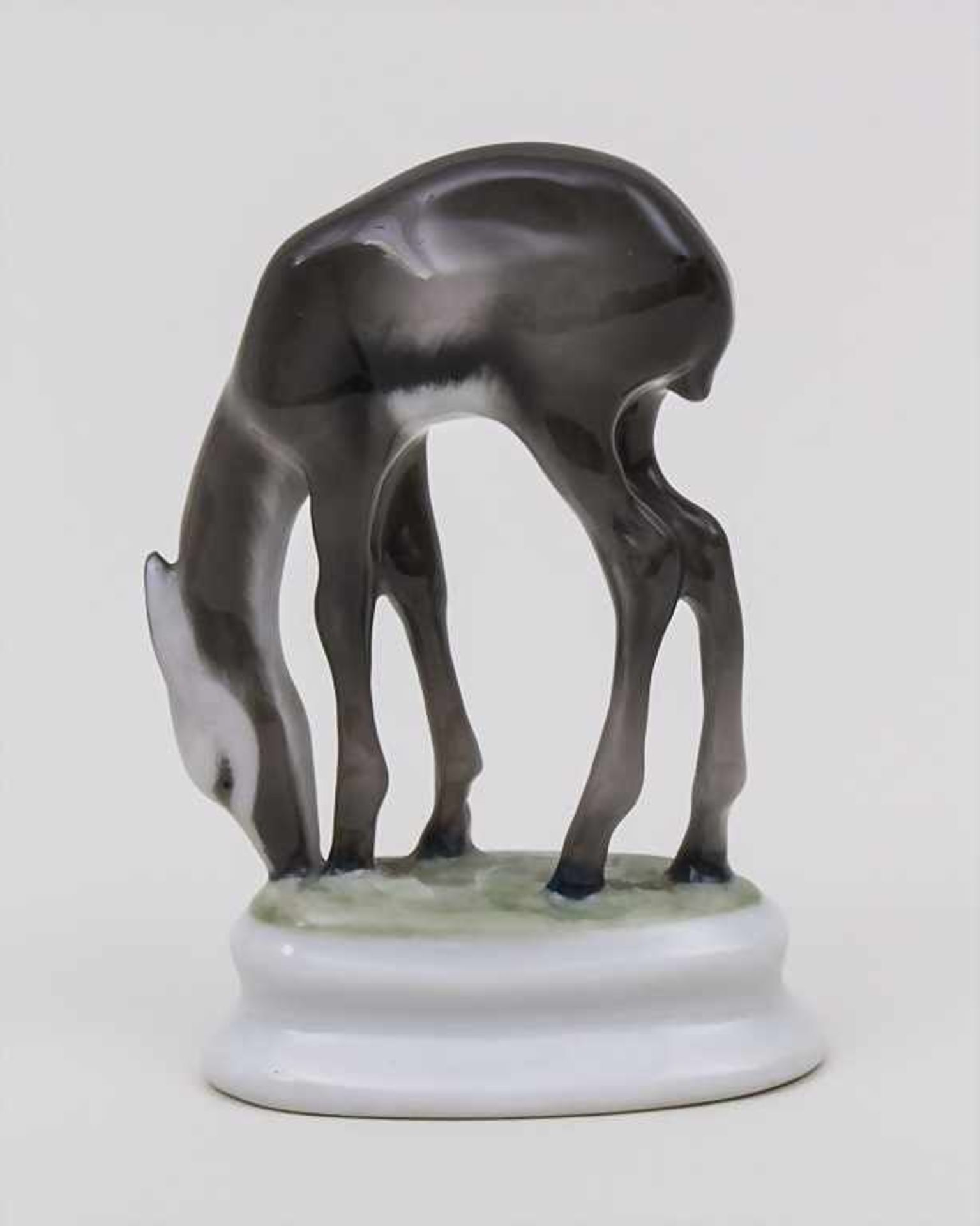 Junge Antilope / A Young Antilope, Kunstabteilung, Rosenthal, Selb, um 1940 Material: Porzellan, - Bild 2 aus 4