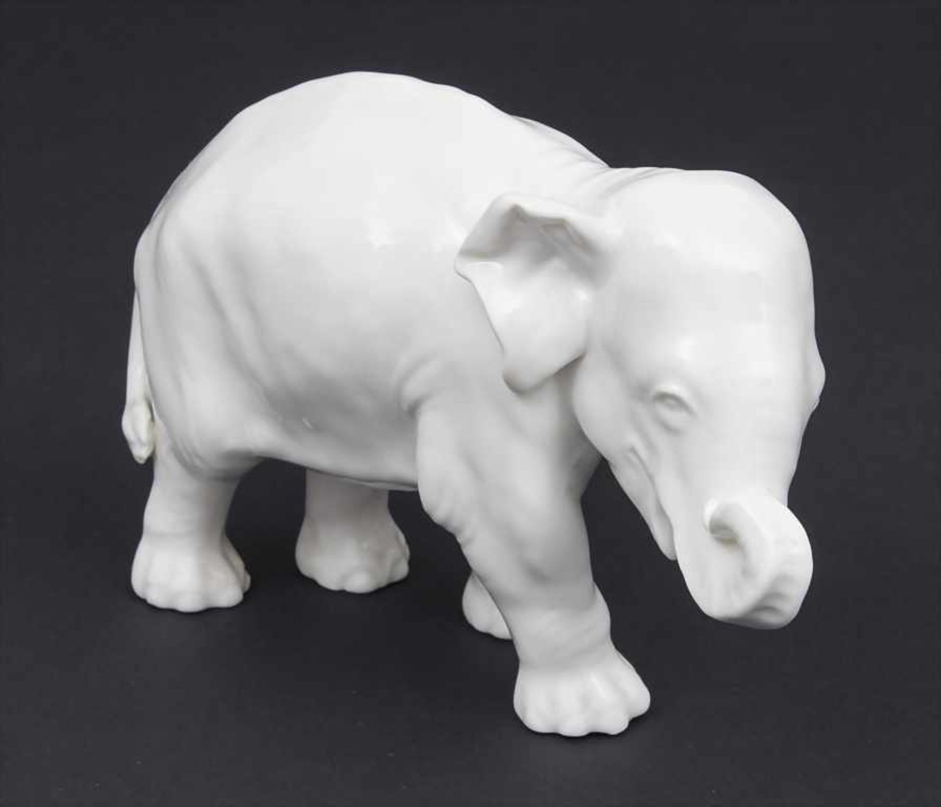 Tierfigur 'Junger Elefant' / A modell of a young elephant, Nymphenburg, um 1940 Material: Porzellan,