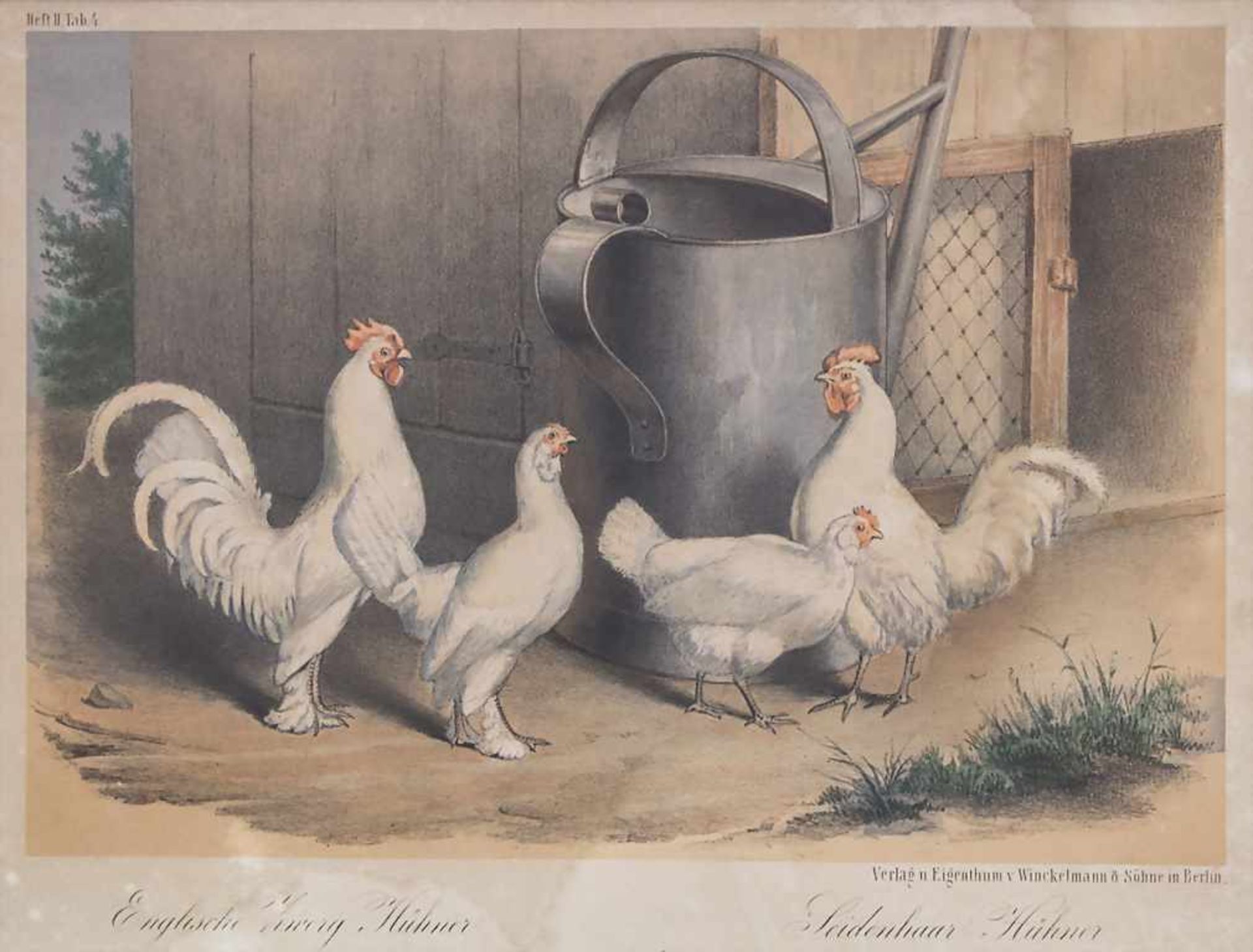 Winckelmann, 2 Lithografien 'Hühner' / A pair of lithographs 'chicken' Technik: Lithografie auf - Bild 3 aus 3