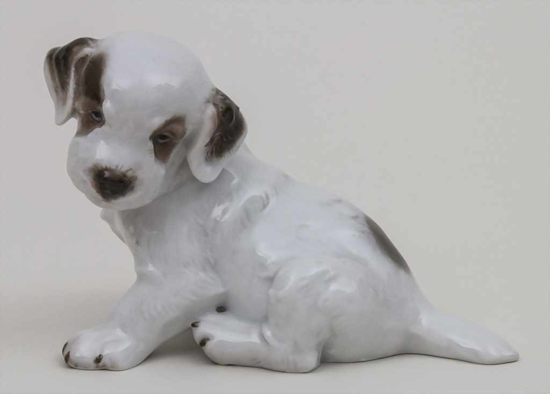 Tierfigur 'sitzender Terrier-Welpe' / A sitting terrier puppy, Theodor Kärner, Selb, Rosenthal, 2.