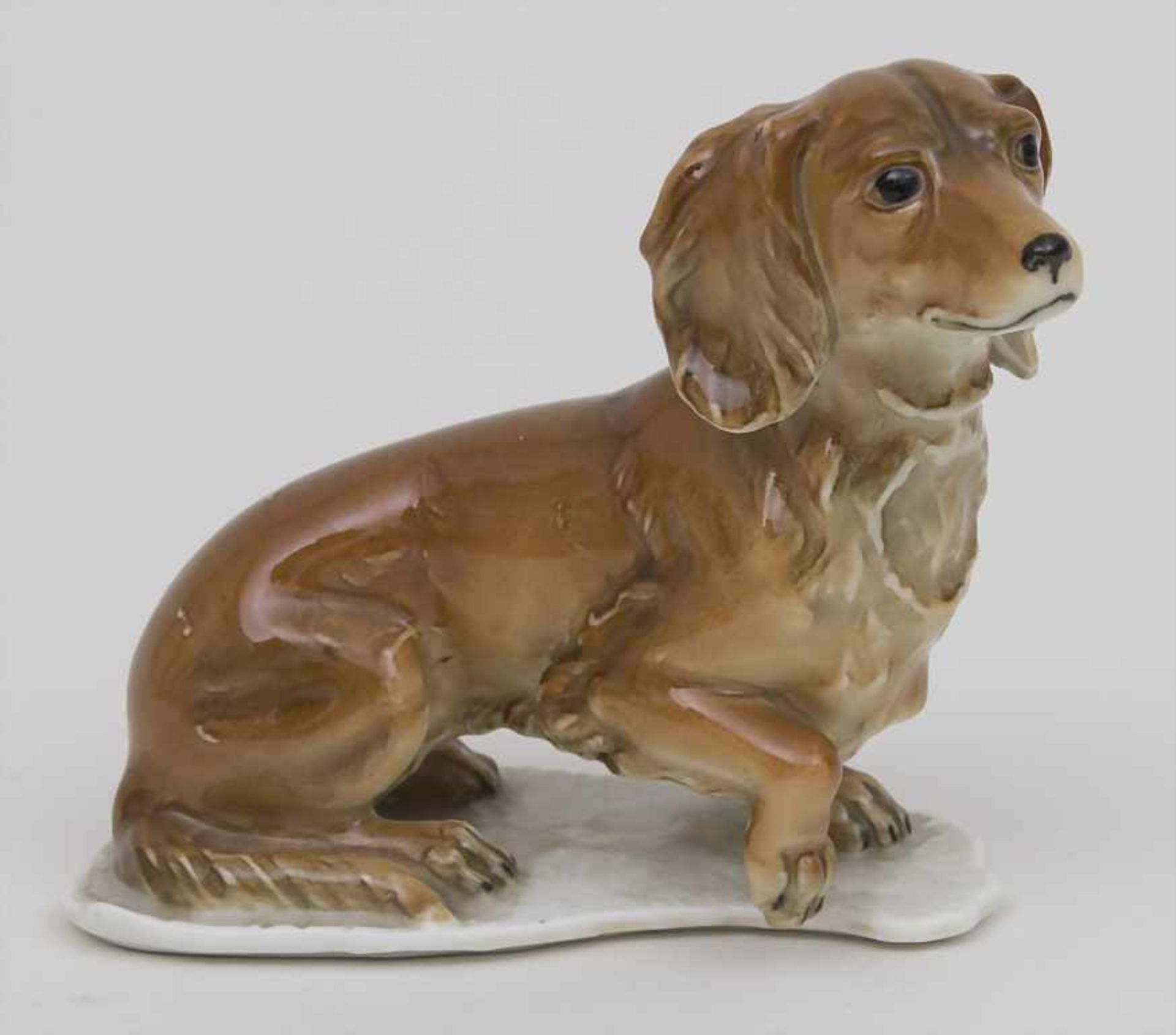 Dackel / A dachshund, Kaiser, Mitte 20. Jh. Material: Porzellan, polychrom bemalt, glasiert,Marke: