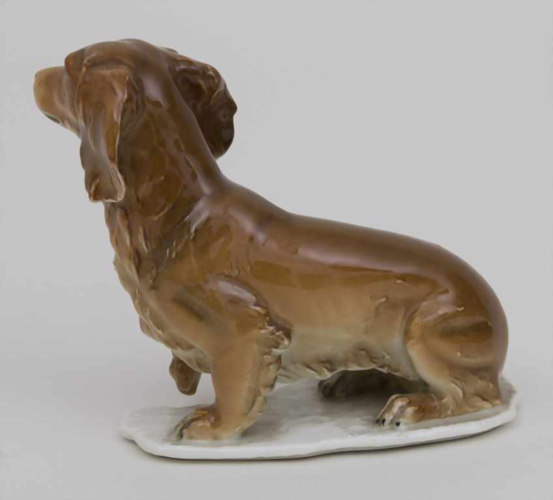 Dackel / A dachshund, Kaiser, Mitte 20. Jh. Material: Porzellan, polychrom bemalt, glasiert,Marke: - Bild 2 aus 3