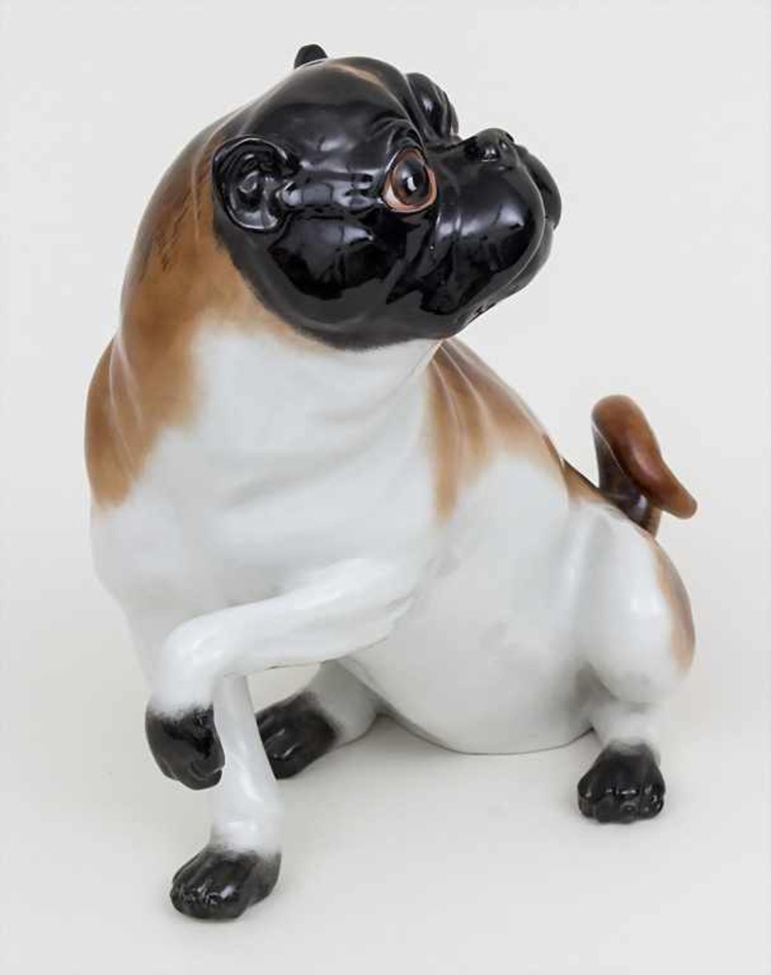 Sitzender Mops / A sitting pug dog, wohl Carl Thieme, Potschappel, 20. Jh. Material: Porzellan, - Image 2 of 4