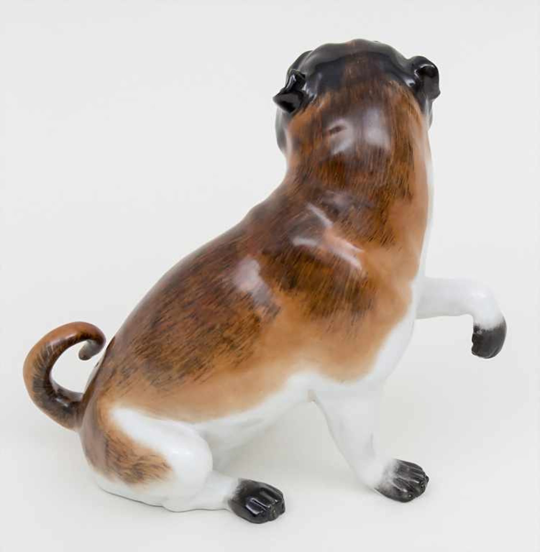 Sitzender Mops / A sitting pug dog, wohl Carl Thieme, Potschappel, 20. Jh. Material: Porzellan, - Image 3 of 4