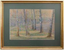 Unbekannt (Landschaftsmaler d. 1. Hälfte d. 20. Jh.) Frühnebel Pastellkreide/ Aquarell, 37 x 52