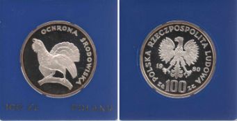 100 Zloty Polen 1980, Auerhahn, Silber, PP