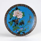 Cloisonnételler. China. Flacher Teller, auf blauem Untergrund, Vogel auf Chrysanthemenzweig, unten