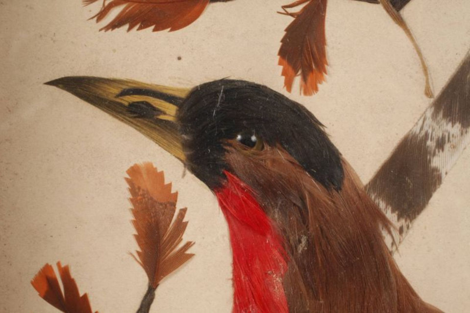 Paar exotische Federbilder Darstellung zweier auf Ästen sitzender, exotischer Vögel, dekorative - Bild 3 aus 3