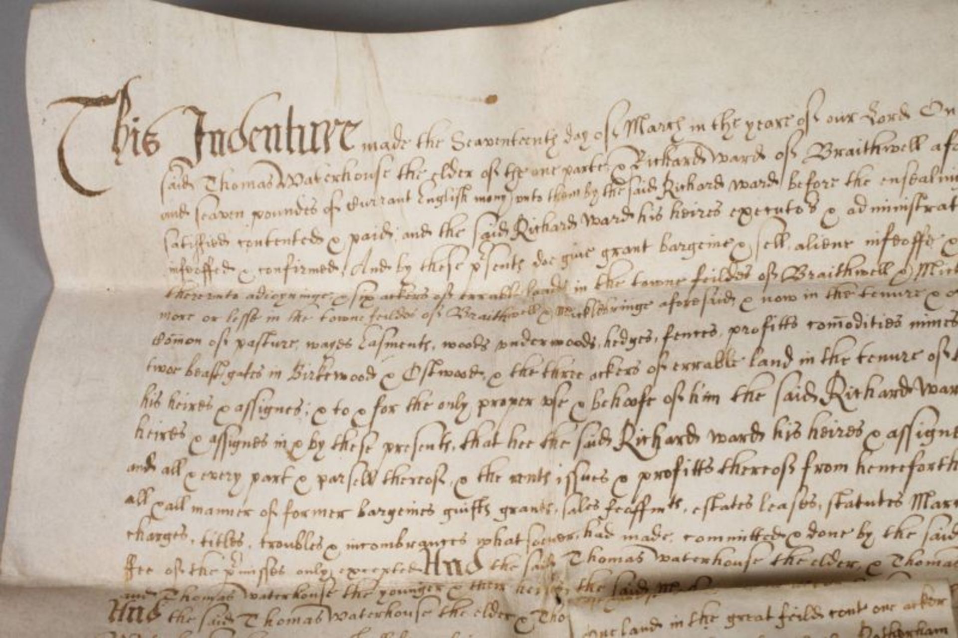 Urkunde England 1654 sog. Feoffment (Belehnung/Übereignung), County of York (Braithwell, - Bild 2 aus 4