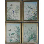 4 Tapetenmuster, Aquarell auf Papier, China 18. Jahrhundert für den europäischen Markt. Je 36 cm x