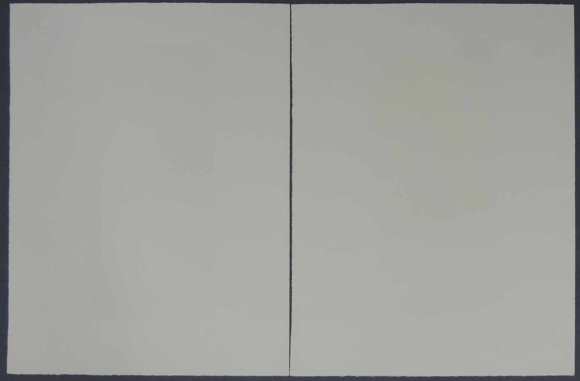 Hans Theo RICHTER (1902 - 1969), zwei Frauenbildnisse. Drucke. Bis 381 mm x 178 mm. Jeweils rechts - Bild 7 aus 7