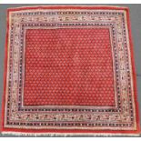 Serabend Mir Teppich, quadratisch. Iran. 160 cm x 163 cm. Handgeknüpft. Wolle auf Wolle. Serabend