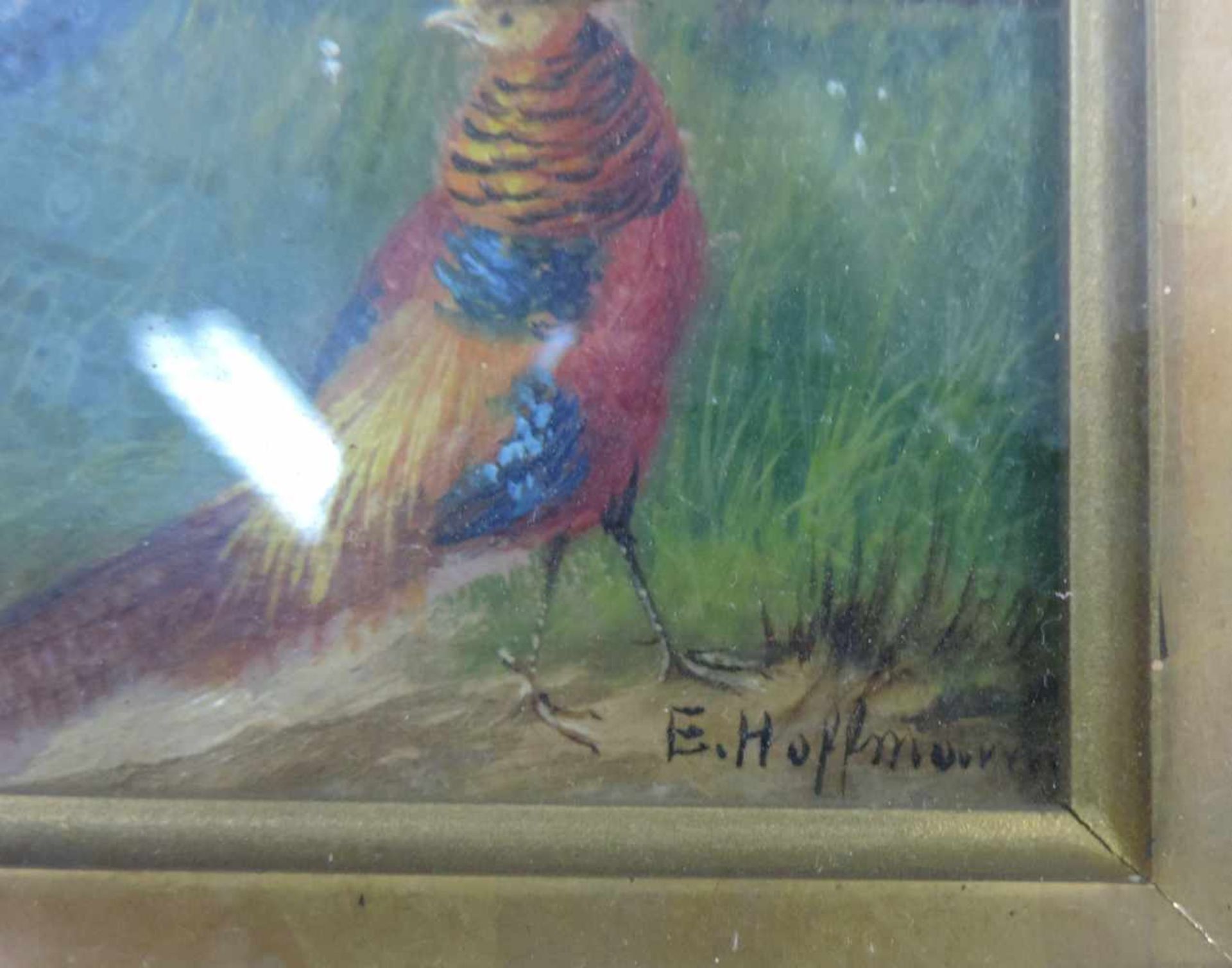 E. HOFFMANN (XX). Zwei Vogelbilder. Je 9,5 cm x 13 cm. Gemälde. Öl auf Holz. Rechts unten - Bild 4 aus 5