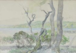 MONOGRAMIST "S-R". Bäume im Frühling 1930. 38 cm x 54 cm. Kohlezeichnung mit Aquarell.