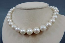 Zuchtperlenkette. Schließe Gold 14 Karat. Perlen bis 13 mm Durchmesser. Pearl necklace. Clasp Gold