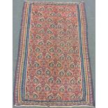 Senne Kelim, Teppich handgewebt. Iran. Antik um 1860. 190 cm x 128 cm. Wolle auf Baumwolle.