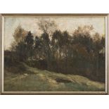 FILIBERTO PETITI (Torino 1845 - Roma 1924) VEGETATION Oil on canvas, cm. 43 xes 58 Signed in lower