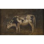 JOHN CALIFANO (Roma 1864 - Chicago 1946) COW IN STALL Oil on panel cm. 28 x 46 Signed in lower right