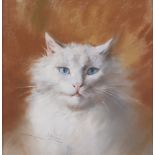 MARINO LENCI (Napoli 1874 - 1939) CAT Pastel on paper, cm. 30 x 31 Signature in the lower left On