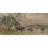 Umberto Coromaldi (Rome 1870 - 1948). Buffalos in the swamp.