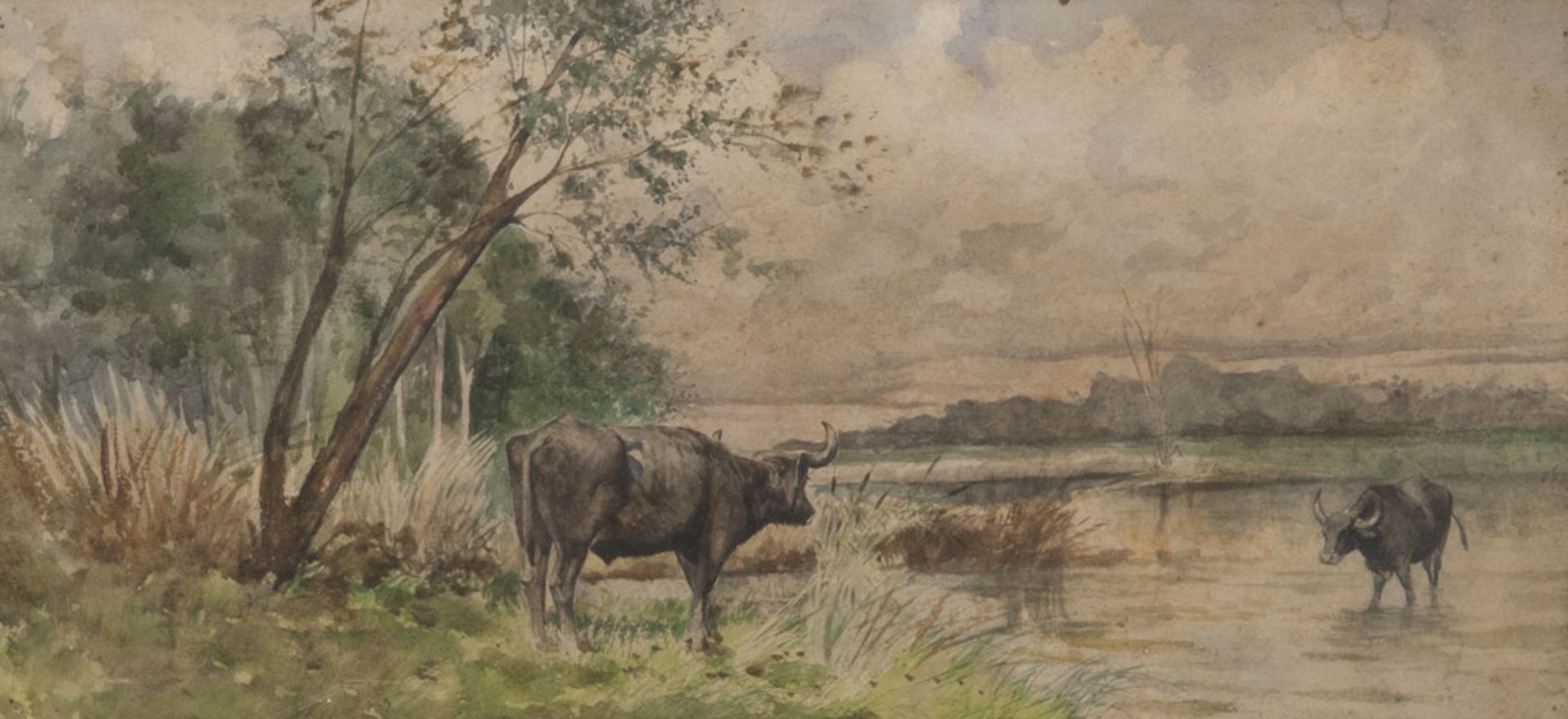 Umberto Coromaldi (Rome 1870 - 1948). Buffalos in the swamp.