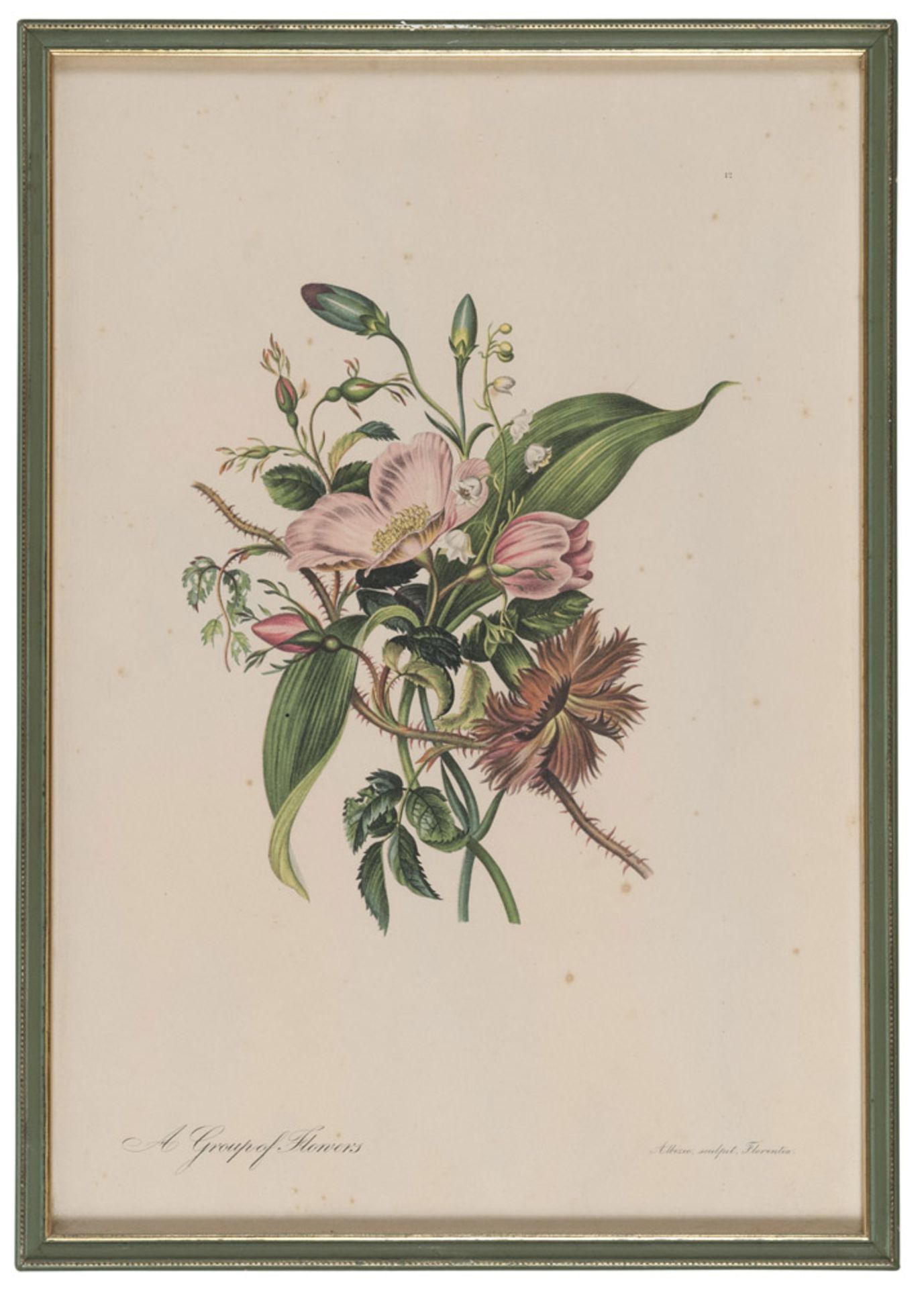 Engraver 20th century. Iris, from Albizi. Pavonia. Rosa. Flowers. Five color presses, cm. 46 x 31. - Bild 4 aus 5