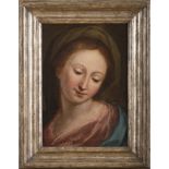 Central Italy Painter, 17th century. Face of the Virgo. Oil on canvas, cm. 37 x 25.PITTORE ITALIA