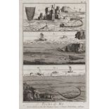 French engraver, 18th century. Typologies of the fishing. A pair of tripartite etchings, cm. 41 x