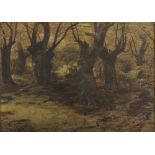 Andrew Maccallum (Nottingham 1821 - London 1902). Forest of Sherwood. Crayon on cardboard, cm. 66