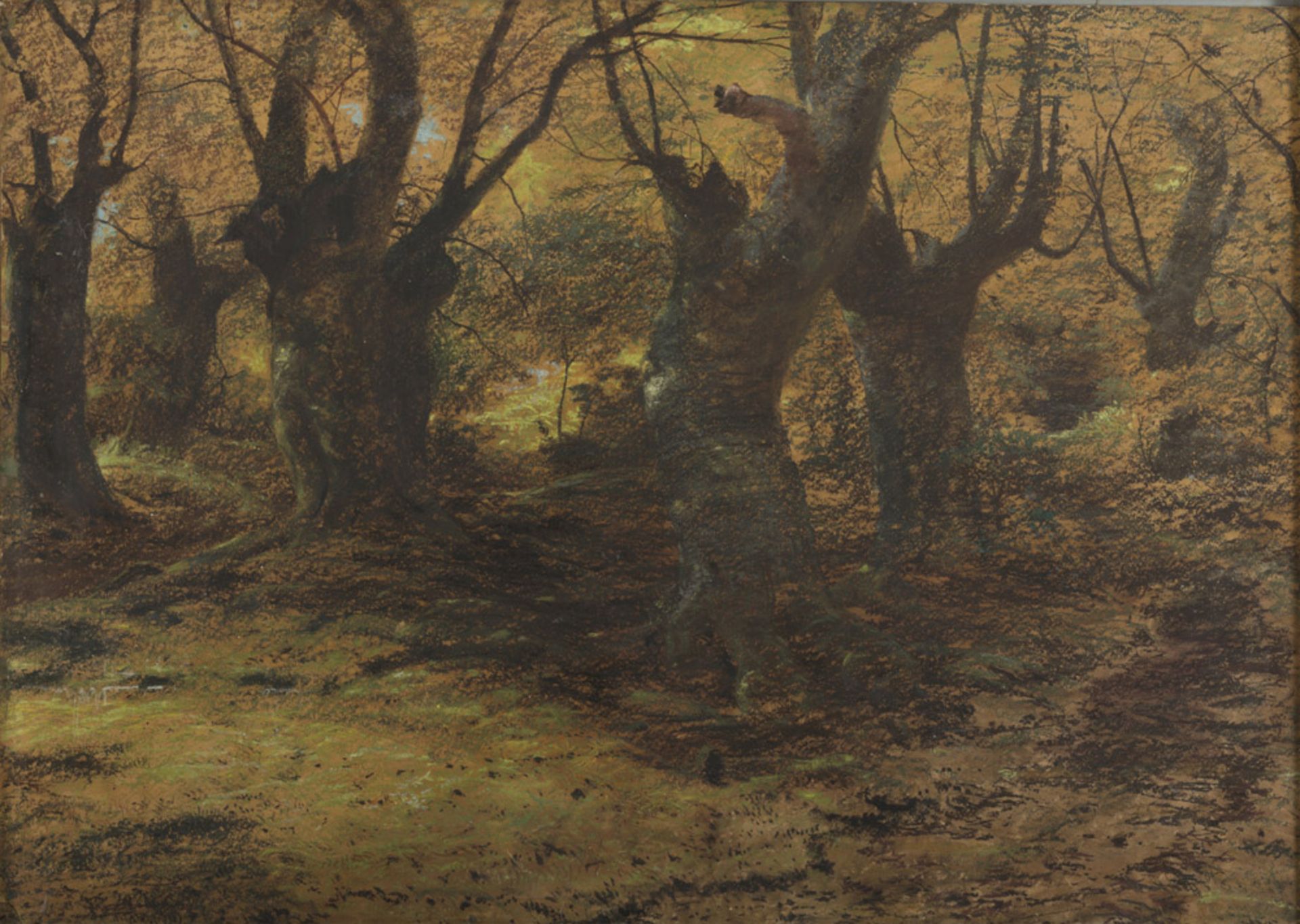 Andrew Maccallum (Nottingham 1821 - London 1902). Forest of Sherwood. Crayon on cardboard, cm. 66