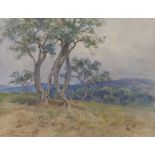 Onorato Carlandi (Rome 1848 - 1939). Trees in the hill.