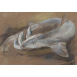 Umberto Coromaldi (Rome 1870 - 1948). Fishes. Crayon on brown paper, cm. 40 x 58.UMBERTO