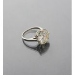 STARODINARY SOLITAIRE in 18 kt white gold, with diamond round cut center. diamond ct. Approx. 7.