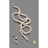 PARURE OF EARRINGS AND NECKLACE one string of pearls, clasp in yellow gold 18 kt. Earrings in yellow