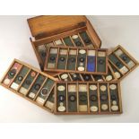 MICROSCOPE SLIDES.