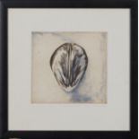 Rory McEwen (1932-1982) Tulip Petal, etching, hand coloured, signed in pencil, 8" x 8.5".