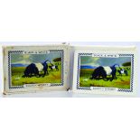 BLACK & WHITE SCOTCH WHISKY PLAYING CARDS. Pack of cards in white box with bull & cows in field &